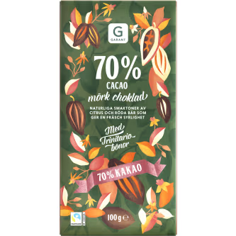 DARK CHOCOLATE 100G